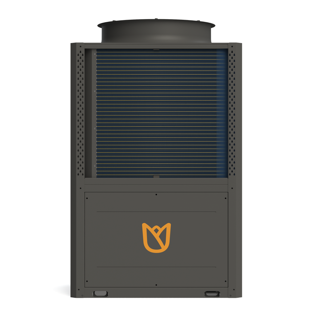 [NEXT50.3] Tulip Next 50.3